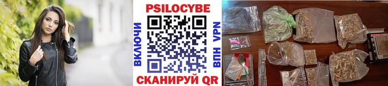 Купить закладки  Красноармейск  Псилоцибиновые грибы Psilocybine cubensis 